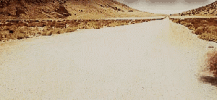 cottonweed GIF lo