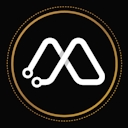 network avatar